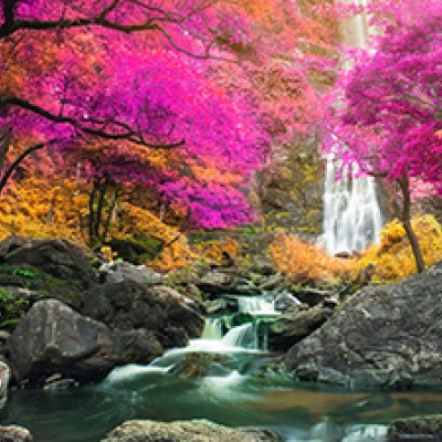 фотообои Красивый водопад